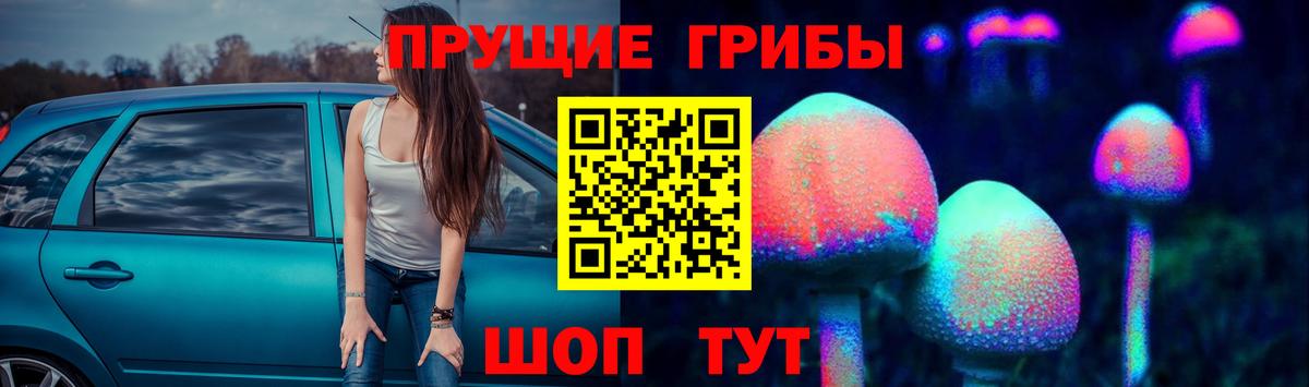 Псилоцибиновые грибы Cubensis  Вход с VPN  Ржев 
